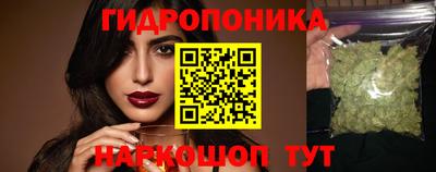 PSILOCYBIN Заводоуковск